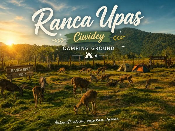 Ranca Upas Camping Ground Ciwidey