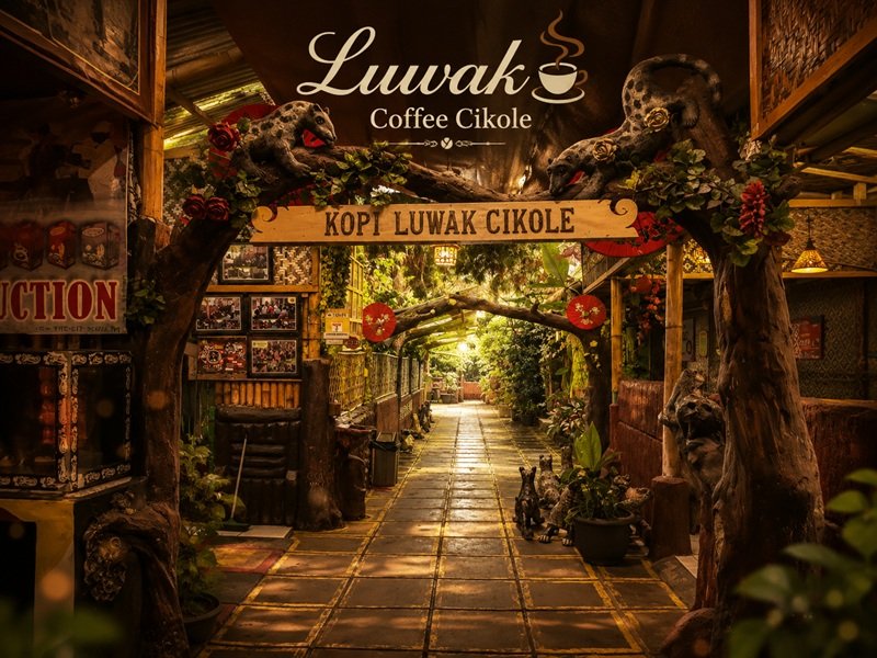 Luwak Coffee Cikole